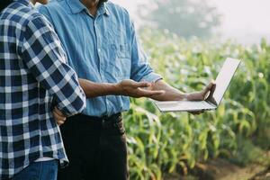 Agriculturist utilize the core data network in the Internet from the mobile to validate, test, and select the new crop method. Young farmers and tobacco farming photo