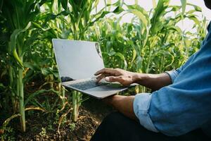 agricultor utilizar el núcleo datos red en el Internet desde el móvil a validar, prueba, y Seleccione el nuevo cosecha método. joven agricultores y tabaco agricultura foto