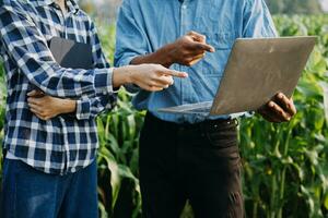 Agriculturist utilize the core data network in the Internet from the mobile to validate, test, and select the new crop method. Young farmers and tobacco farming photo