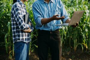 Agriculturist utilize the core data network in the Internet from the mobile to validate, test, and select the new crop method. Young farmers and tobacco farming photo