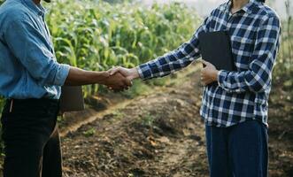 Agriculturist utilize the core data network in the Internet from the mobile to validate, test, and select the new crop method. Young farmers and tobacco farming photo