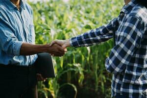 Agriculturist utilize the core data network in the Internet from the mobile to validate, test, and select the new crop method. Young farmers and tobacco farming photo
