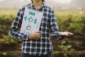 agricultor utilizar el núcleo datos red en el Internet desde el móvil a validar, prueba, y Seleccione el nuevo cosecha método. joven agricultores y tabaco agricultura foto