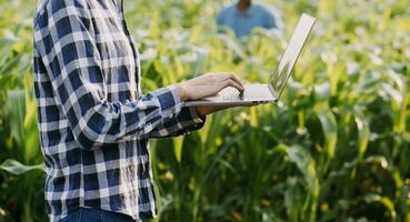 Agriculturist utilize the core data network in the Internet from the mobile to validate, test, and select the new crop method. Young farmers and tobacco farming photo