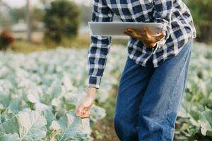Agriculturist utilize the core data network in the Internet from the mobile to validate, test, and select the new crop method. Young farmers and tobacco farming photo