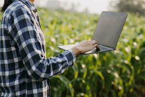 Agriculturist utilize the core data network in the Internet from the mobile to validate, test, and select the new crop method. Young farmers and tobacco farming photo
