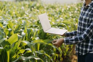 Agriculturist utilize the core data network in the Internet from the mobile to validate, test, and select the new crop method. Young farmers and tobacco farming photo