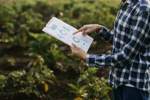 Agriculturist utilize the core data network in the Internet from the mobile to validate, test, and select the new crop method. Young farmers and tobacco farming photo
