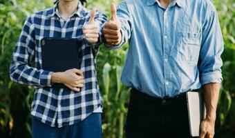 Agriculturist utilize the core data network in the Internet from the mobile to validate, test, and select the new crop method. Young farmers and tobacco farming photo