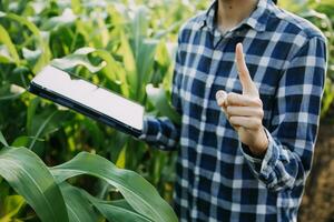Agriculturist utilize the core data network in the Internet from the mobile to validate, test, and select the new crop method. Young farmers and tobacco farming photo