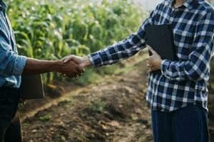 Agriculturist utilize the core data network in the Internet from the mobile to validate, test, and select the new crop method. Young farmers and tobacco farming photo