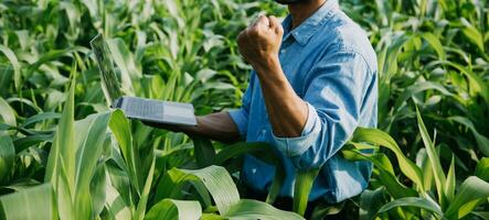 Agriculturist utilize the core data network in the Internet from the mobile to validate, test, and select the new crop method. Young farmers and tobacco farming photo