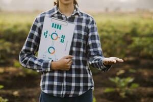 Agriculturist utilize the core data network in the Internet from the mobile to validate, test, and select the new crop method. Young farmers and tobacco farming photo