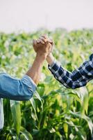 Agriculturist utilize the core data network in the Internet from the mobile to validate, test, and select the new crop method. Young farmers and tobacco farming photo