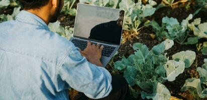 Agriculturist utilize the core data network in the Internet from the mobile to validate, test, and select the new crop method. Young farmers and tobacco farming photo