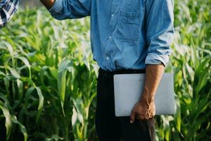Agriculturist utilize the core data network in the Internet from the mobile to validate, test, and select the new crop method. Young farmers and tobacco farming photo