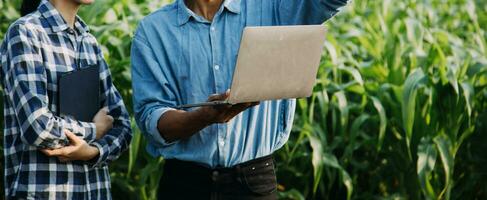 Agriculturist utilize the core data network in the Internet from the mobile to validate, test, and select the new crop method. Young farmers and tobacco farming photo