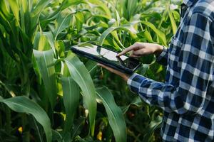 Agriculturist utilize the core data network in the Internet from the mobile to validate, test, and select the new crop method. Young farmers and tobacco farming photo