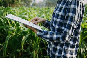 Agriculturist utilize the core data network in the Internet from the mobile to validate, test, and select the new crop method. Young farmers and tobacco farming photo