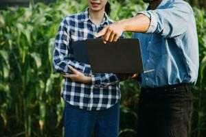 Agriculturist utilize the core data network in the Internet from the mobile to validate, test, and select the new crop method. Young farmers and tobacco farming photo