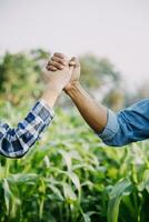 Agriculturist utilize the core data network in the Internet from the mobile to validate, test, and select the new crop method. Young farmers and tobacco farming photo