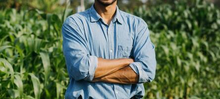 agricultor utilizar el núcleo datos red en el Internet desde el móvil a validar, prueba, y Seleccione el nuevo cosecha método. joven agricultores y tabaco agricultura foto