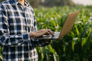 Agriculturist utilize the core data network in the Internet from the mobile to validate, test, and select the new crop method. Young farmers and tobacco farming photo