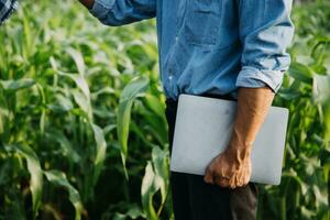 Agriculturist utilize the core data network in the Internet from the mobile to validate, test, and select the new crop method. Young farmers and tobacco farming photo