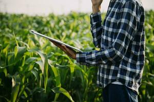 Agriculturist utilize the core data network in the Internet from the mobile to validate, test, and select the new crop method. Young farmers and tobacco farming photo