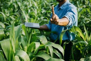 Agriculturist utilize the core data network in the Internet from the mobile to validate, test, and select the new crop method. Young farmers and tobacco farming photo