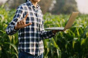 Agriculturist utilize the core data network in the Internet from the mobile to validate, test, and select the new crop method. Young farmers and tobacco farming photo