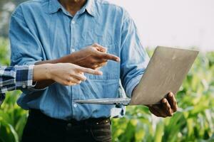 Agriculturist utilize the core data network in the Internet from the mobile to validate, test, and select the new crop method. Young farmers and tobacco farming photo