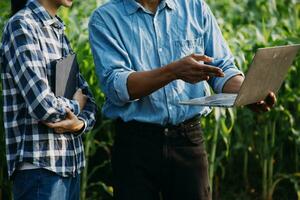Agriculturist utilize the core data network in the Internet from the mobile to validate, test, and select the new crop method. Young farmers and tobacco farming photo