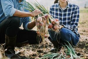 Agriculturist utilize the core data network in the Internet from the mobile to validate, test, and select the new crop method. Young farmers and tobacco farming photo