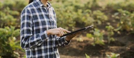 Agriculturist utilize the core data network in the Internet from the mobile to validate, test, and select the new crop method. Young farmers and tobacco farming photo