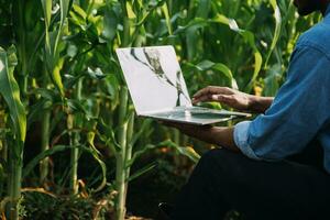 Agriculturist utilize the core data network in the Internet from the mobile to validate, test, and select the new crop method. Young farmers and tobacco farming photo