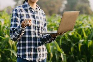 Agriculturist utilize the core data network in the Internet from the mobile to validate, test, and select the new crop method. Young farmers and tobacco farming photo