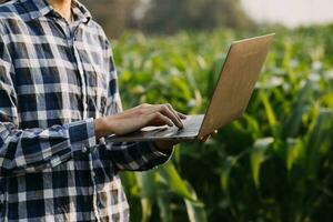 Agriculturist utilize the core data network in the Internet from the mobile to validate, test, and select the new crop method. Young farmers and tobacco farming photo