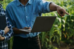 Agriculturist utilize the core data network in the Internet from the mobile to validate, test, and select the new crop method. Young farmers and tobacco farming photo