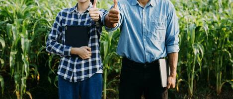 Agriculturist utilize the core data network in the Internet from the mobile to validate, test, and select the new crop method. Young farmers and tobacco farming photo