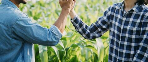 Agriculturist utilize the core data network in the Internet from the mobile to validate, test, and select the new crop method. Young farmers and tobacco farming photo
