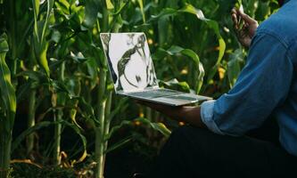 Agriculturist utilize the core data network in the Internet from the mobile to validate, test, and select the new crop method. Young farmers and tobacco farming photo