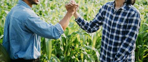 Agriculturist utilize the core data network in the Internet from the mobile to validate, test, and select the new crop method. Young farmers and tobacco farming photo