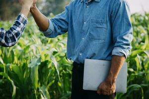 Agriculturist utilize the core data network in the Internet from the mobile to validate, test, and select the new crop method. Young farmers and tobacco farming photo
