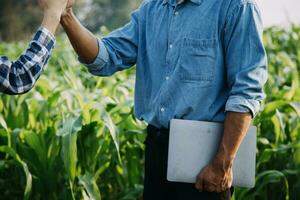 agricultor utilizar el núcleo datos red en el Internet desde el móvil a validar, prueba, y Seleccione el nuevo cosecha método. joven agricultores y tabaco agricultura foto