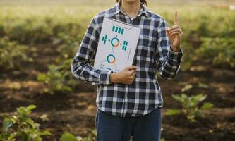 agricultor utilizar el núcleo datos red en el Internet desde el móvil a validar, prueba, y Seleccione el nuevo cosecha método. joven agricultores y tabaco agricultura foto