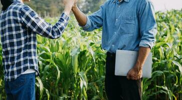 Agriculturist utilize the core data network in the Internet from the mobile to validate, test, and select the new crop method. Young farmers and tobacco farming photo