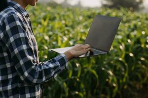 Agriculturist utilize the core data network in the Internet from the mobile to validate, test, and select the new crop method. Young farmers and tobacco farming photo