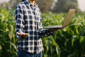 Agriculturist utilize the core data network in the Internet from the mobile to validate, test, and select the new crop method. Young farmers and tobacco farming photo