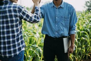 Agriculturist utilize the core data network in the Internet from the mobile to validate, test, and select the new crop method. Young farmers and tobacco farming photo